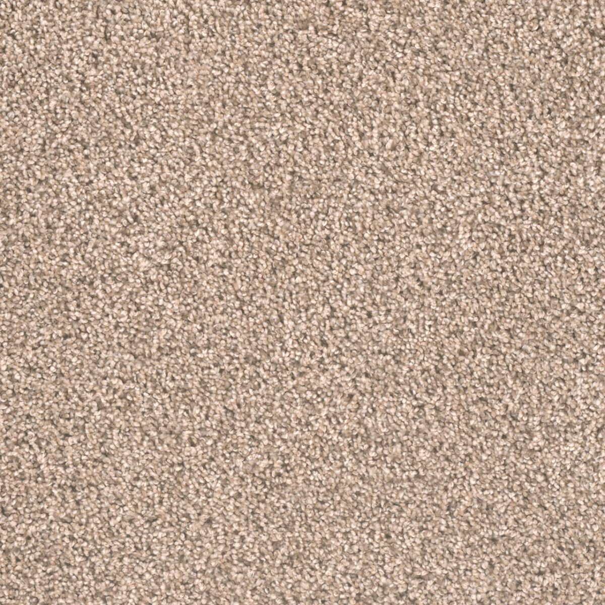 DreamWeaver Metropolitan II — Oxford carpet swatch