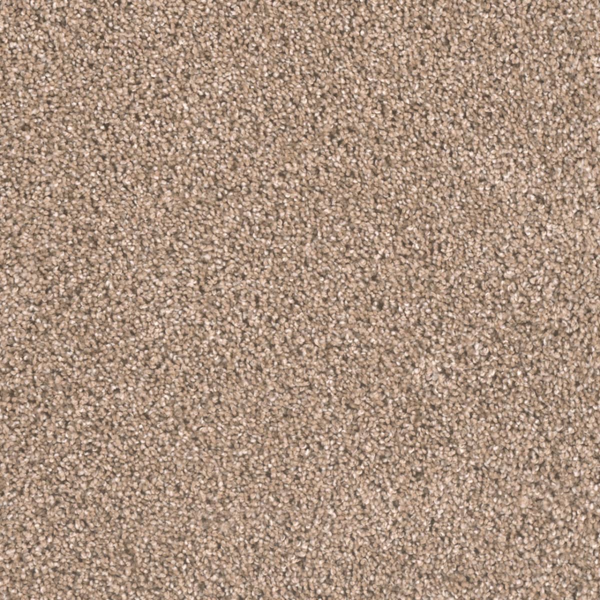 DreamWeaver Metropolitan II — Straw carpet swatch