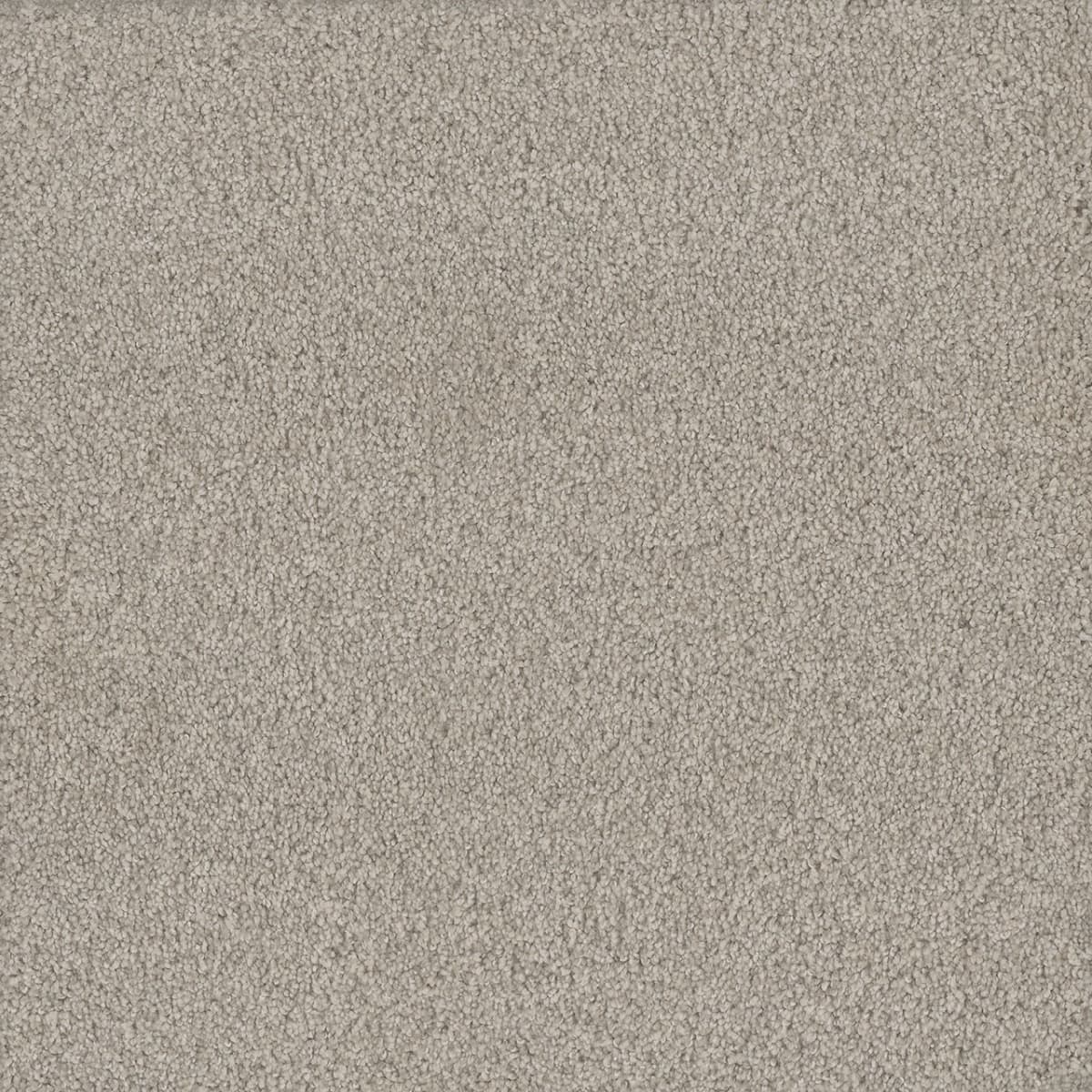 No Limits Iii | DreamWeaver Carpet Flooring | Engineered Floors