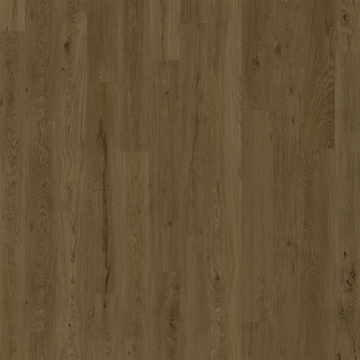 American Standard — Biscayne LVP plank color