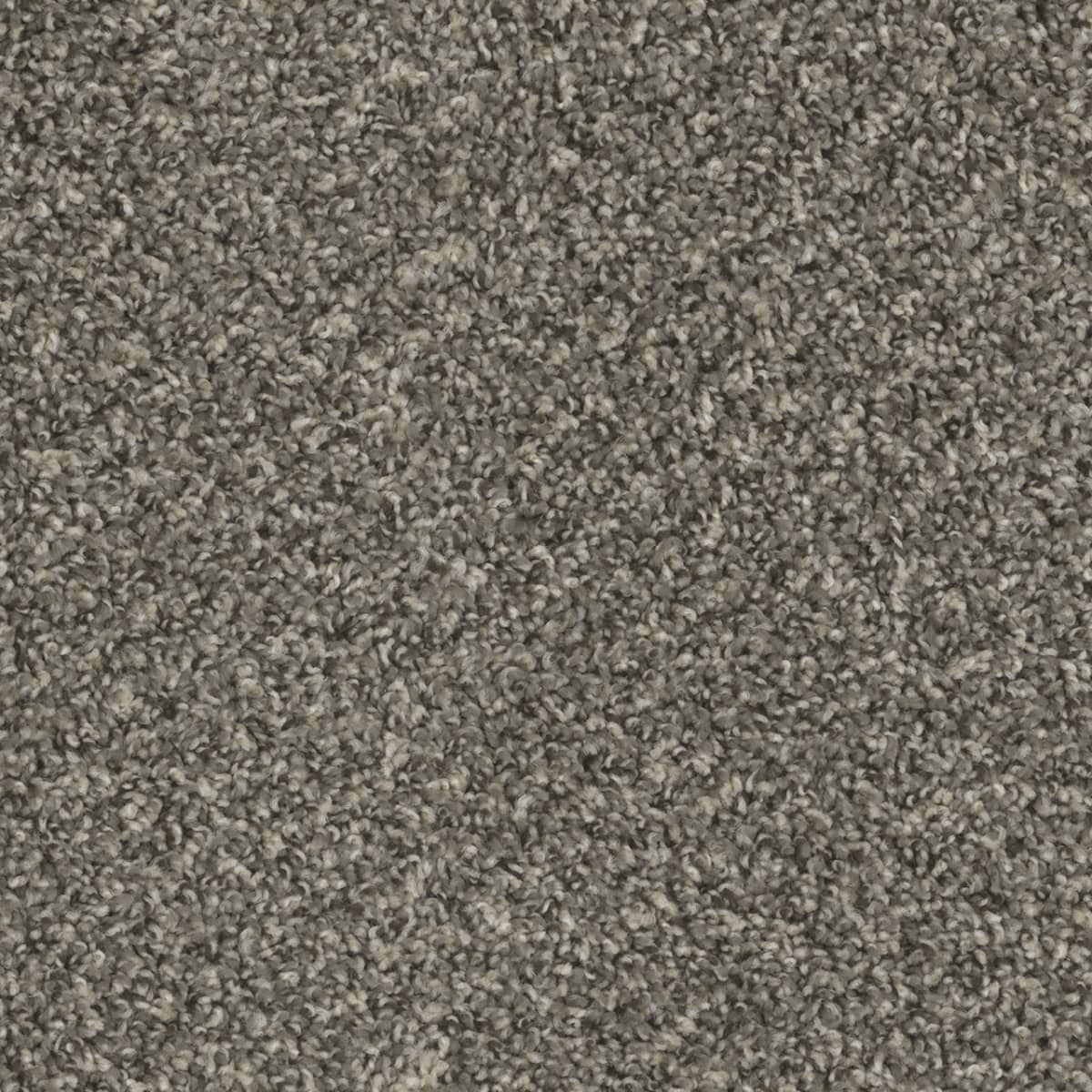DreamWeaver SP250 Ironside carpet color detail