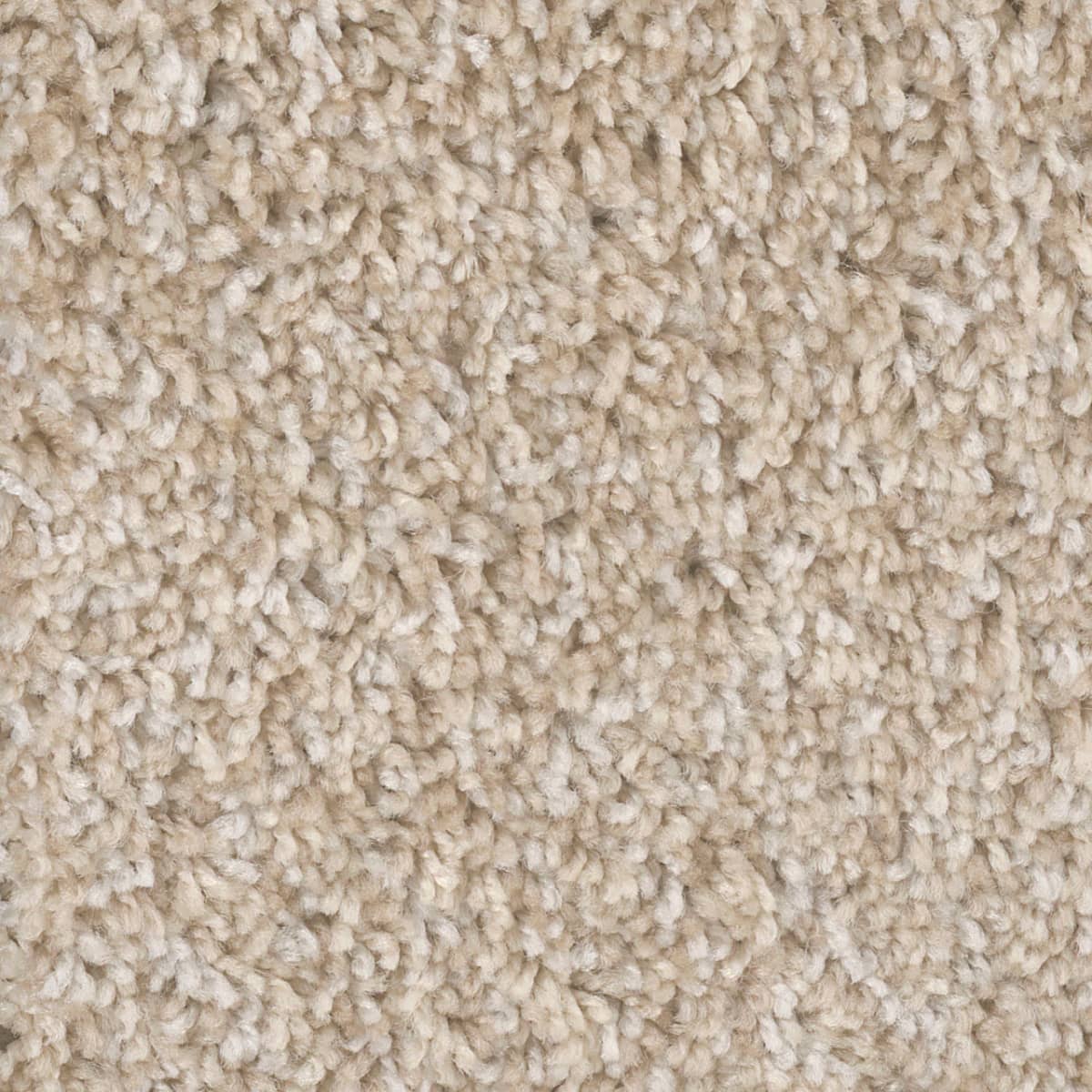 DreamWeaver West Brow — Crystal Coast carpet swatch