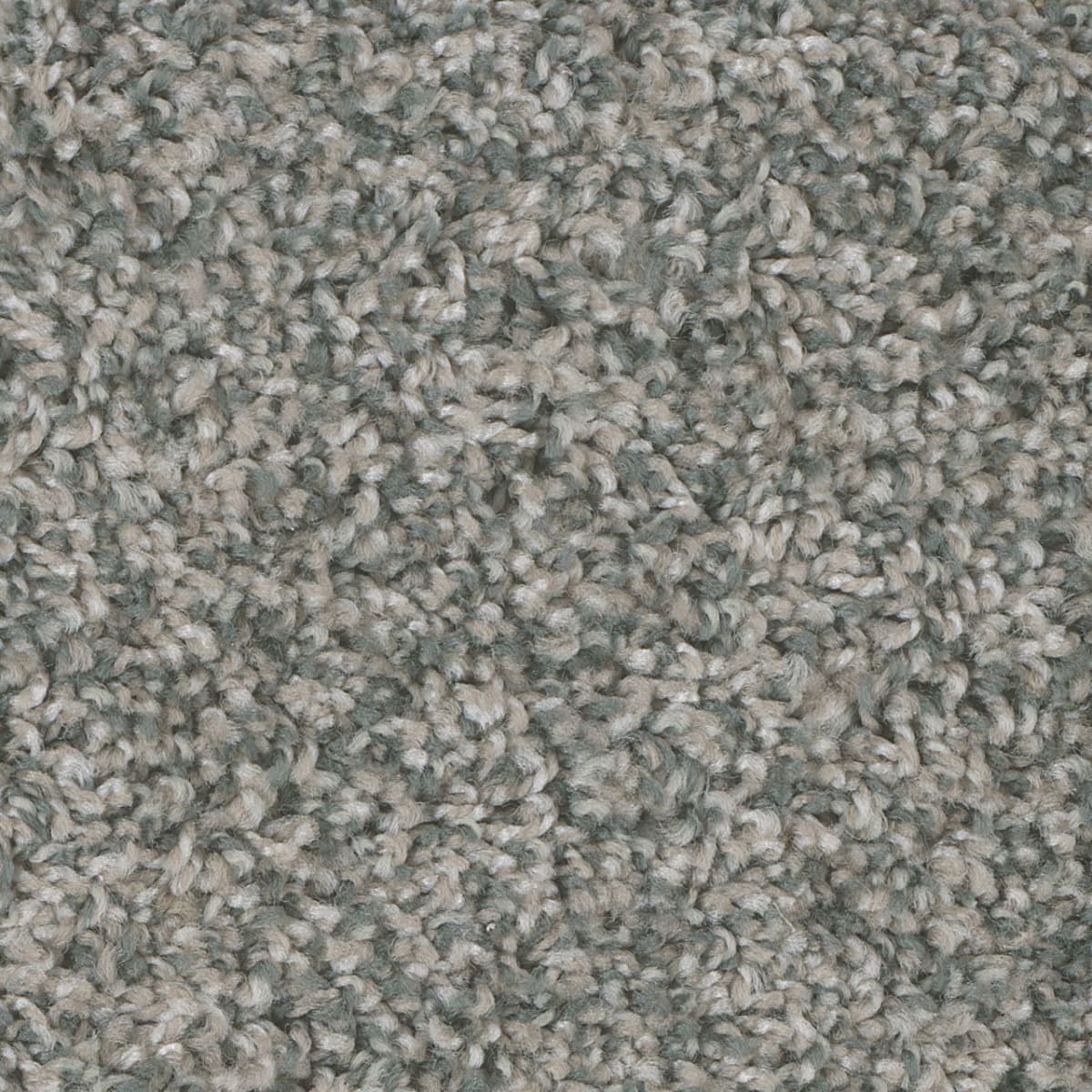 DreamWeaver West Brow — Gun Powder carpet swatch