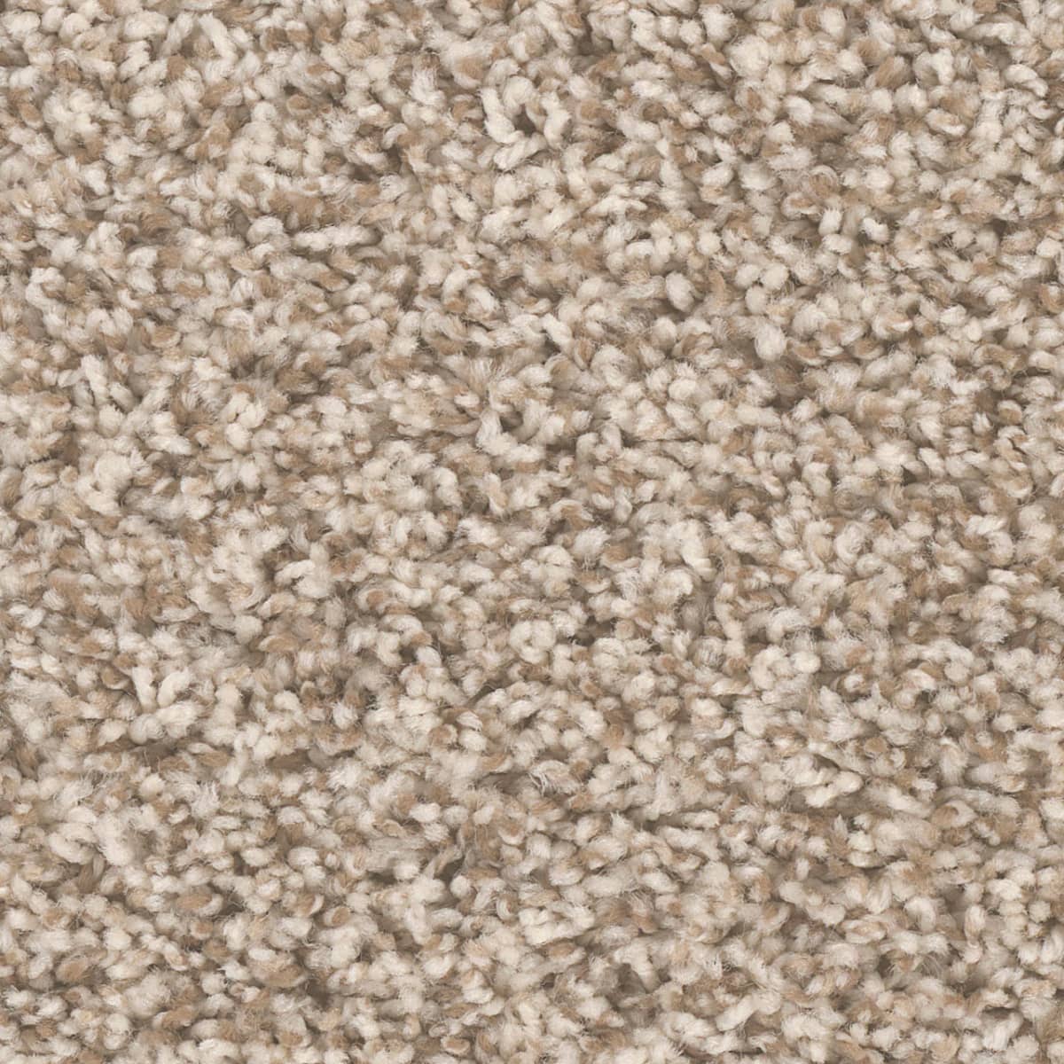 DreamWeaver West Brow — Agate carpet swatch