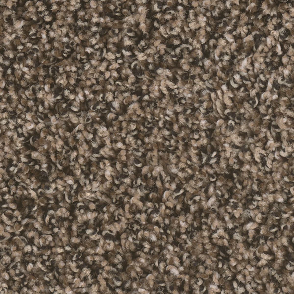 DreamWeaver West Brow — Pepper Ridge carpet swatch