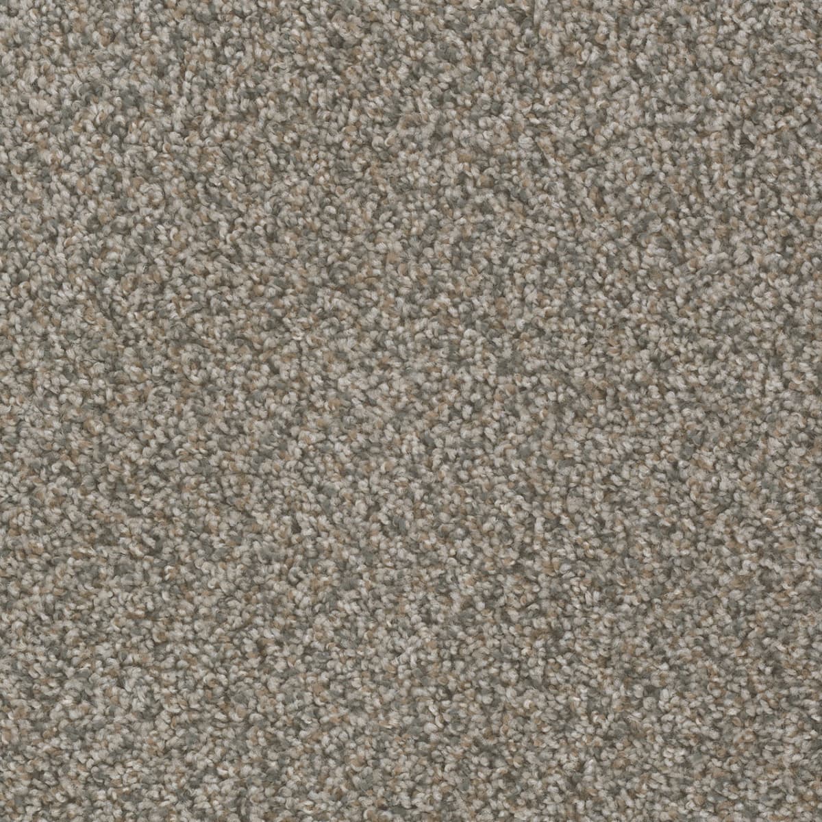 DreamWeaver SP250 Carbon Crystals carpet color detail