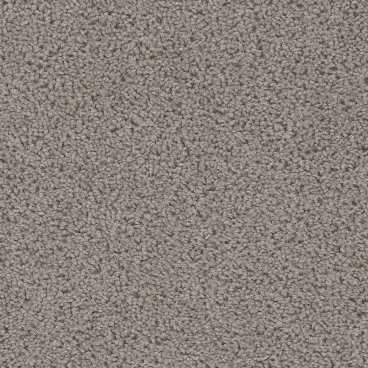 DreamWeaver Sweepstakes — Chrome carpet swatch
