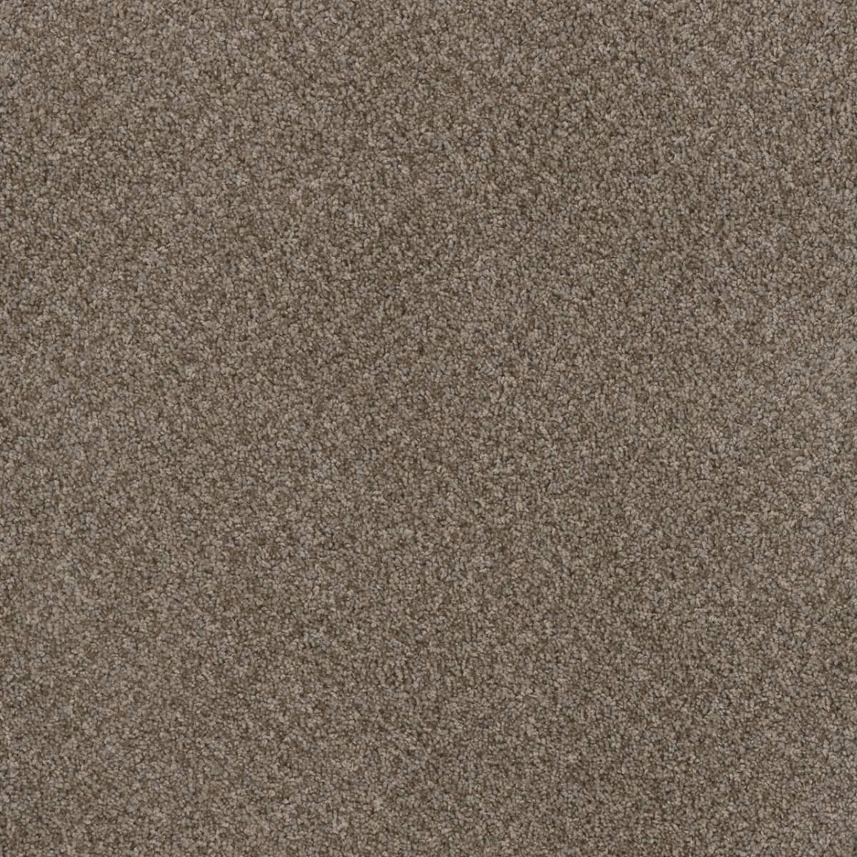 DreamWeaver Toast Of The Town — English Stone carpet swatch