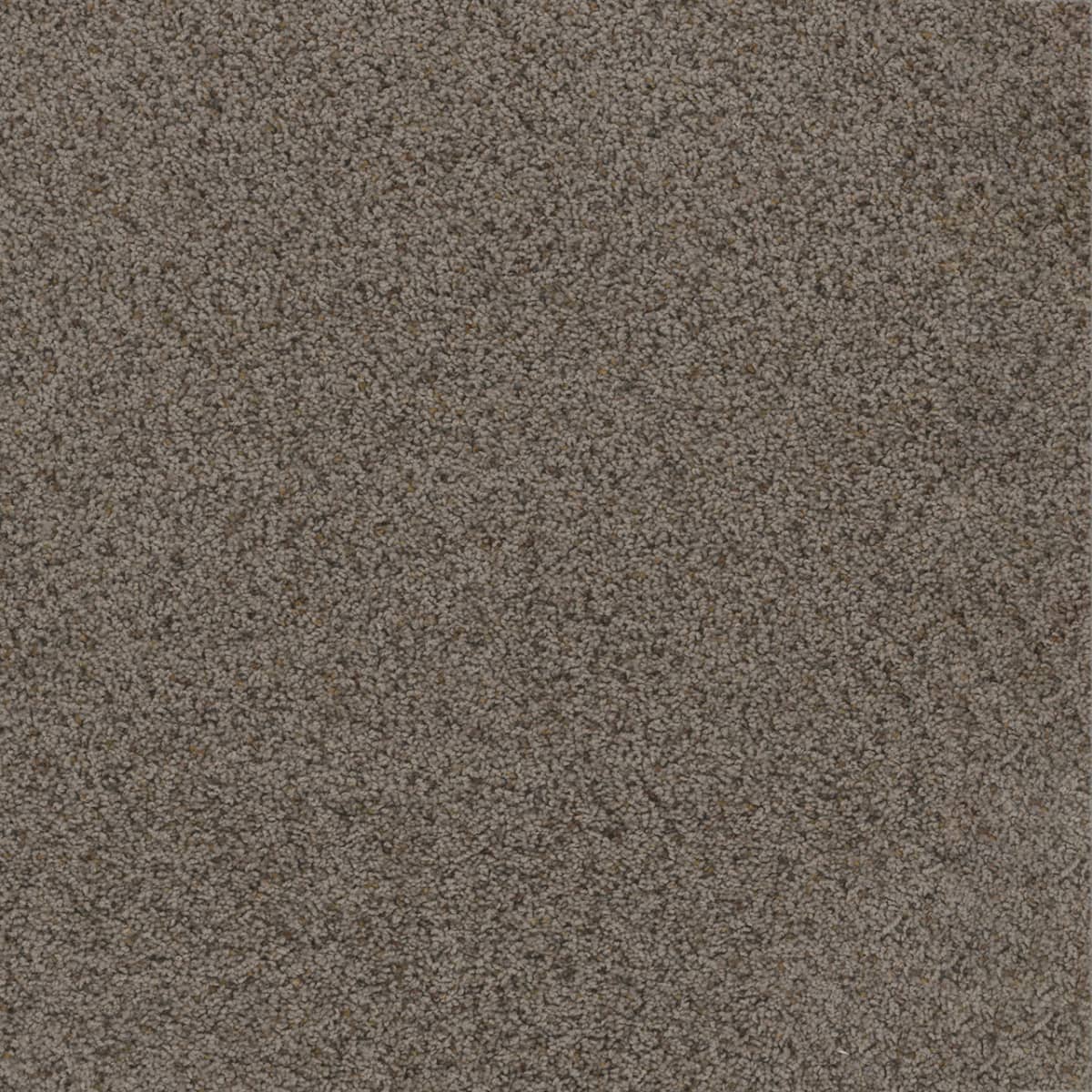DreamWeaver Toast Of The Town — Rugged Suede carpet swatch