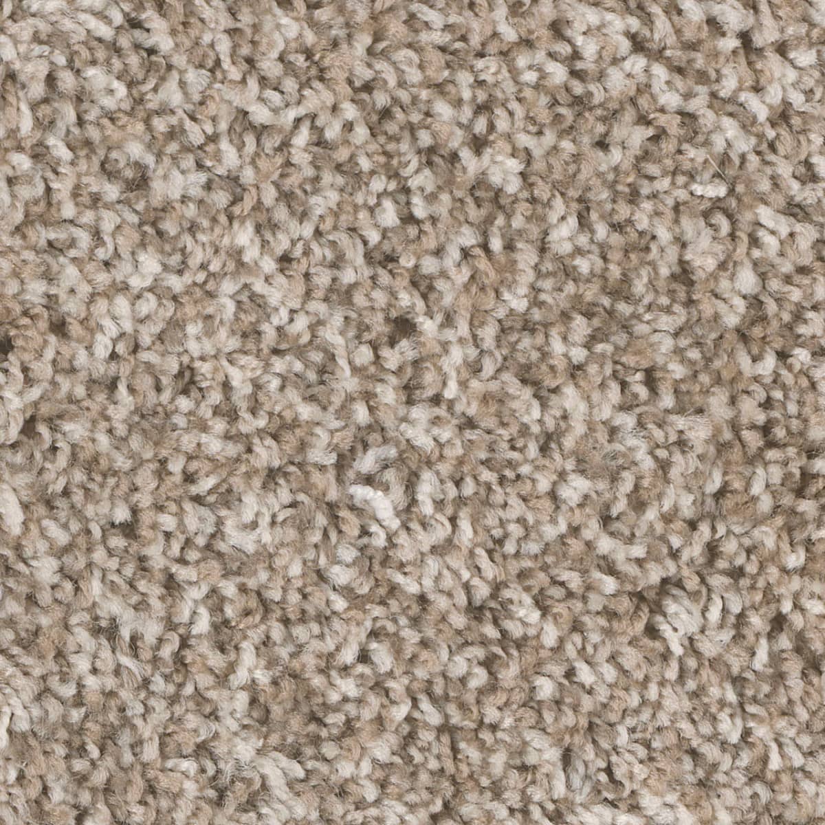 DreamWeaver West Brow — Haystack carpet swatch