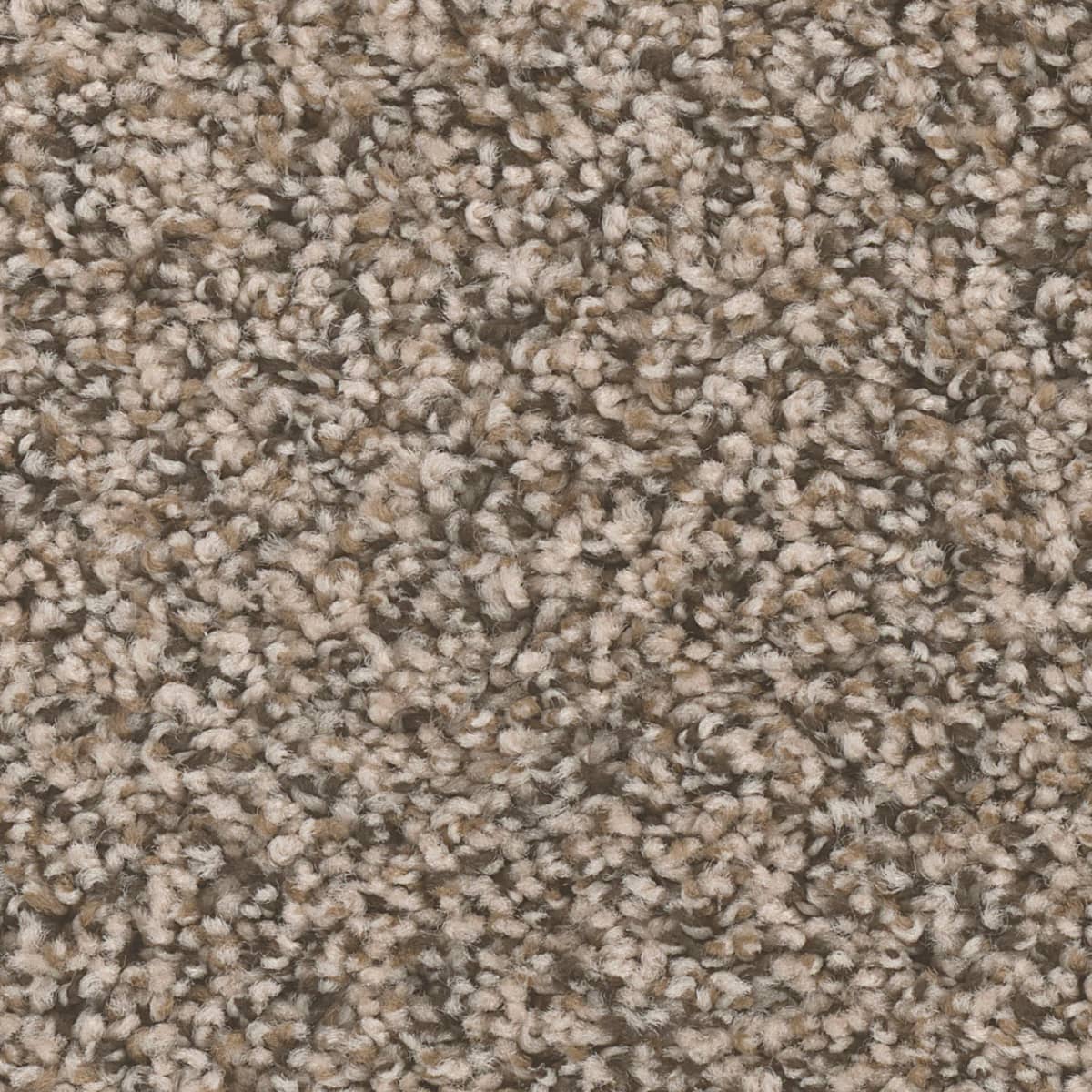 DreamWeaver West Brow — Gemstone carpet swatch