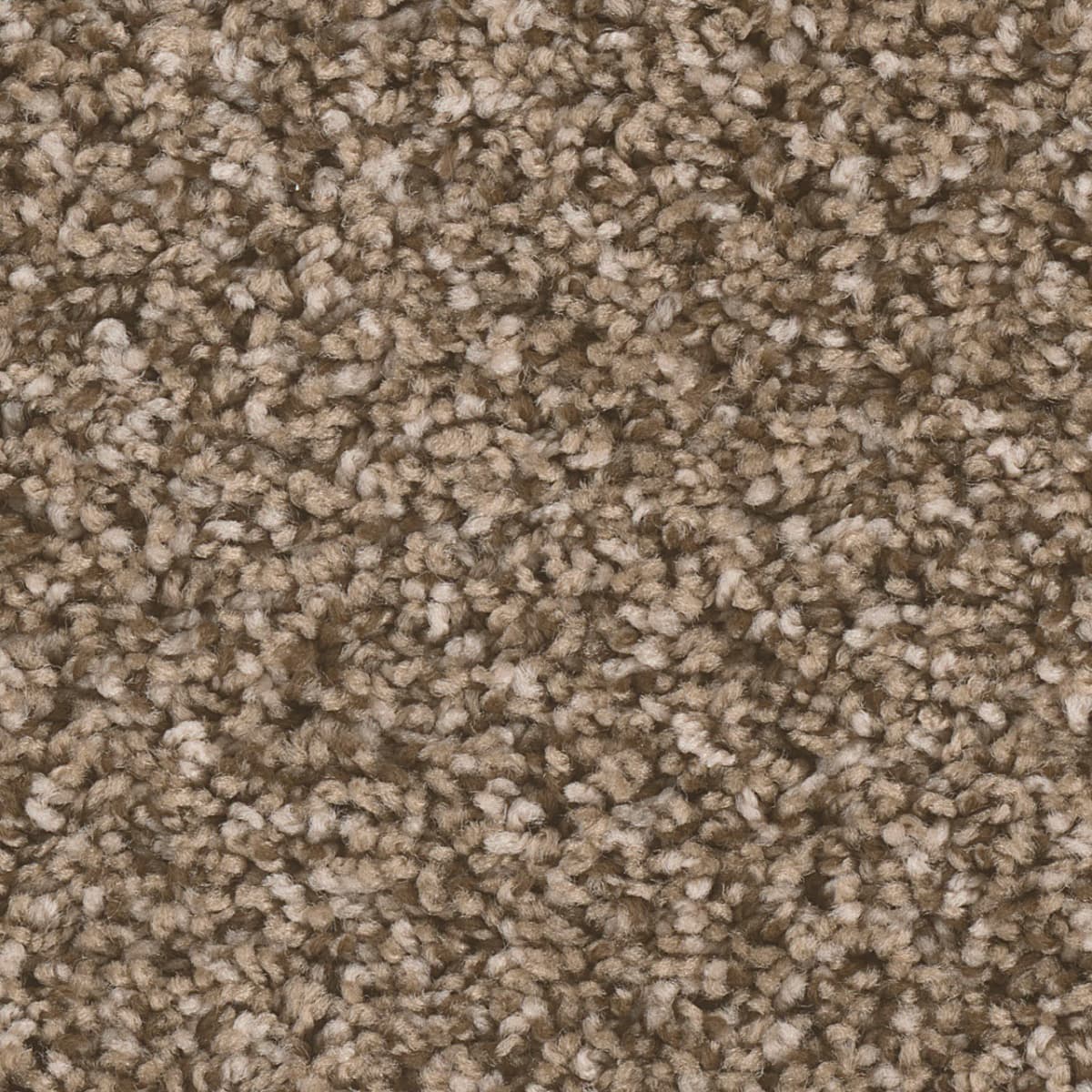 DreamWeaver West Brow — Bramble carpet swatch