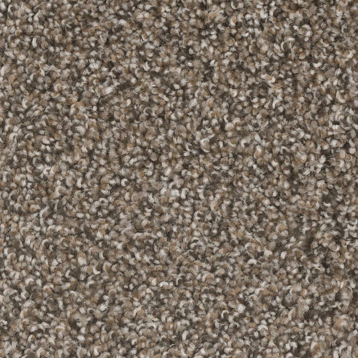 DreamWeaver West Brow — Copper Mine carpet swatch