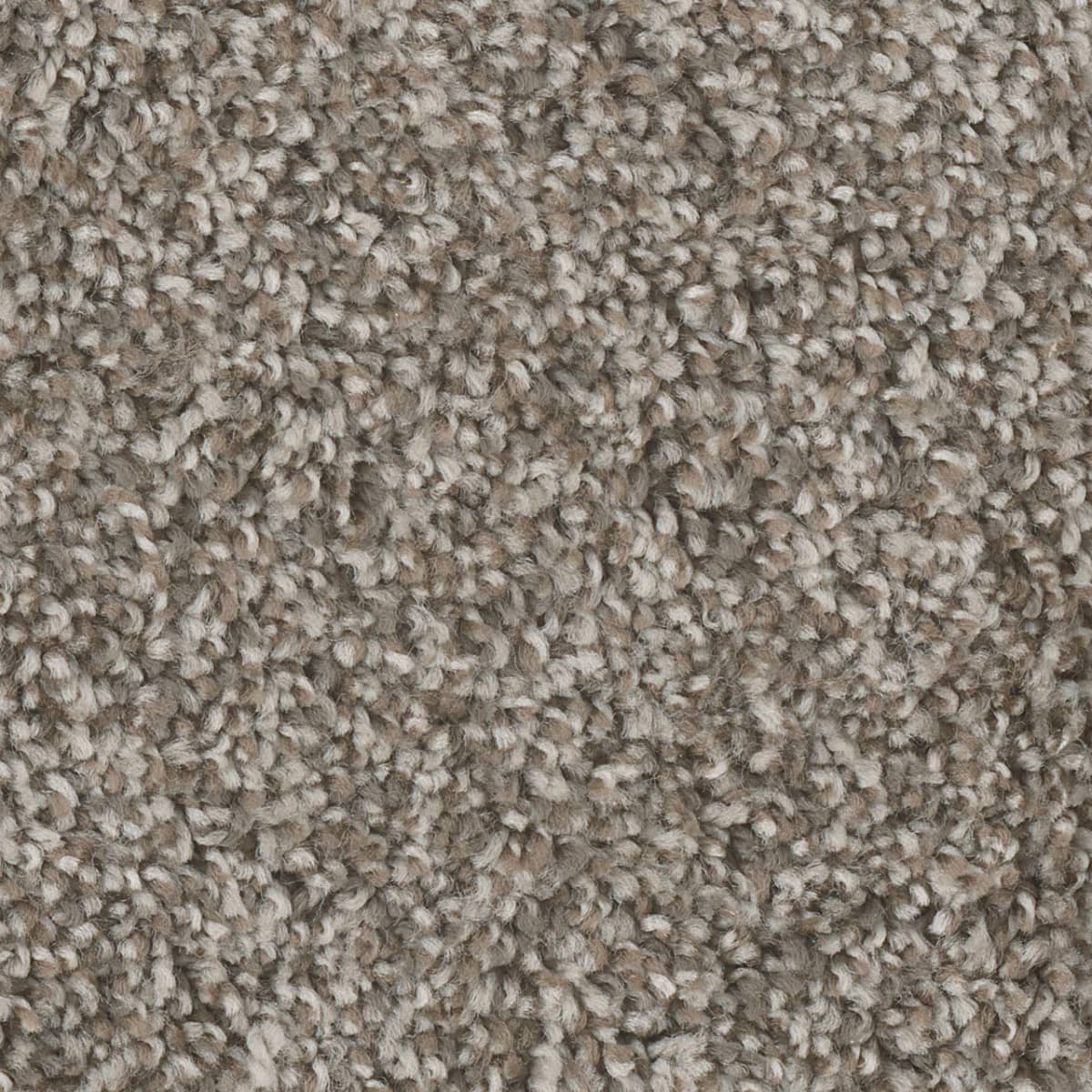 DreamWeaver West Brow — Desert Jasper carpet swatch