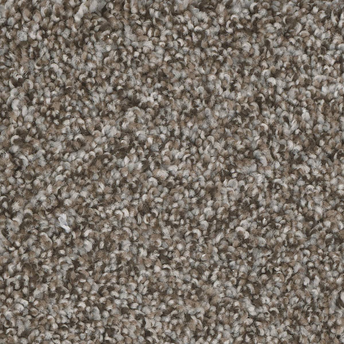 DreamWeaver West Brow — Lace Agate carpet swatch