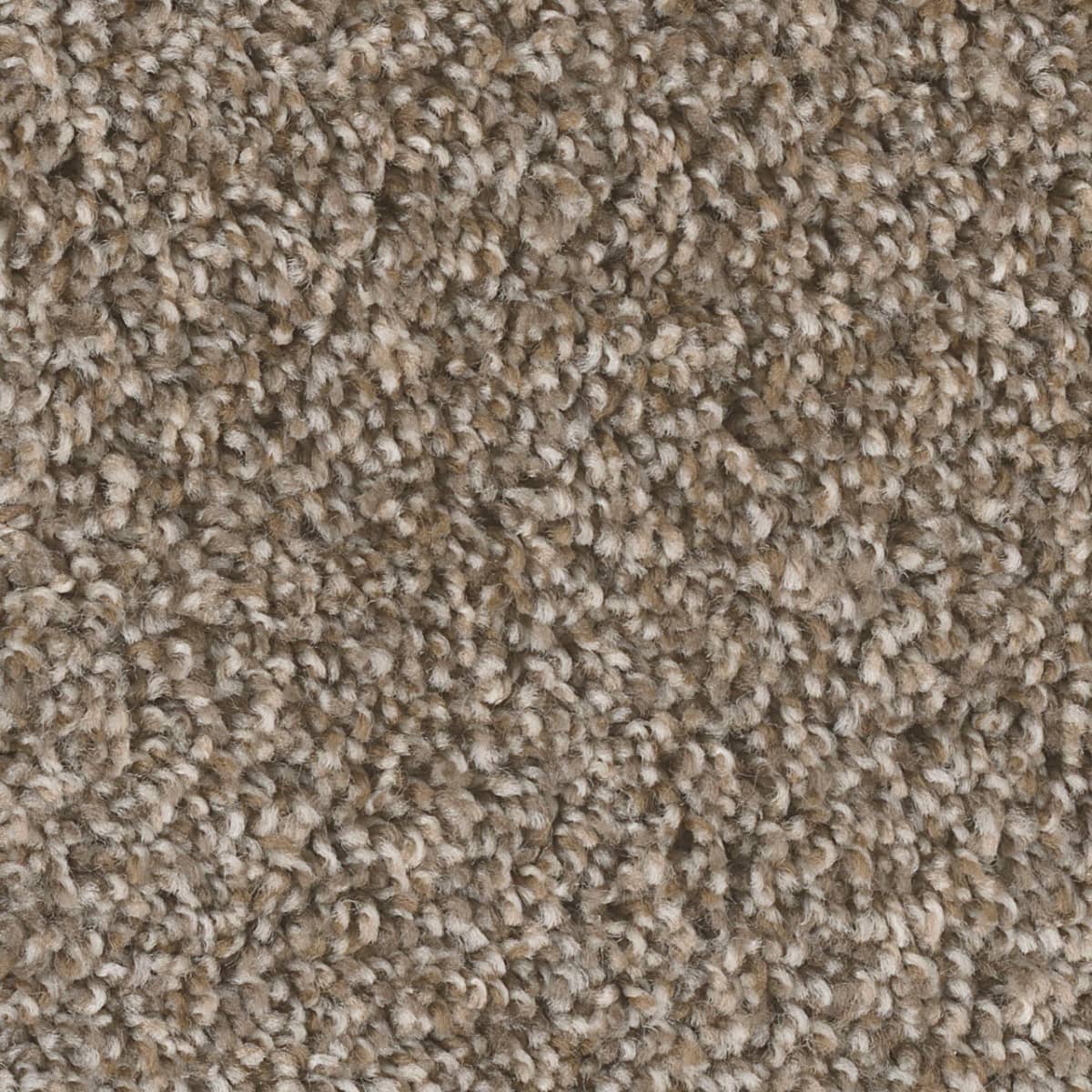 DreamWeaver West Brow — Toasted Chestnut carpet swatch
