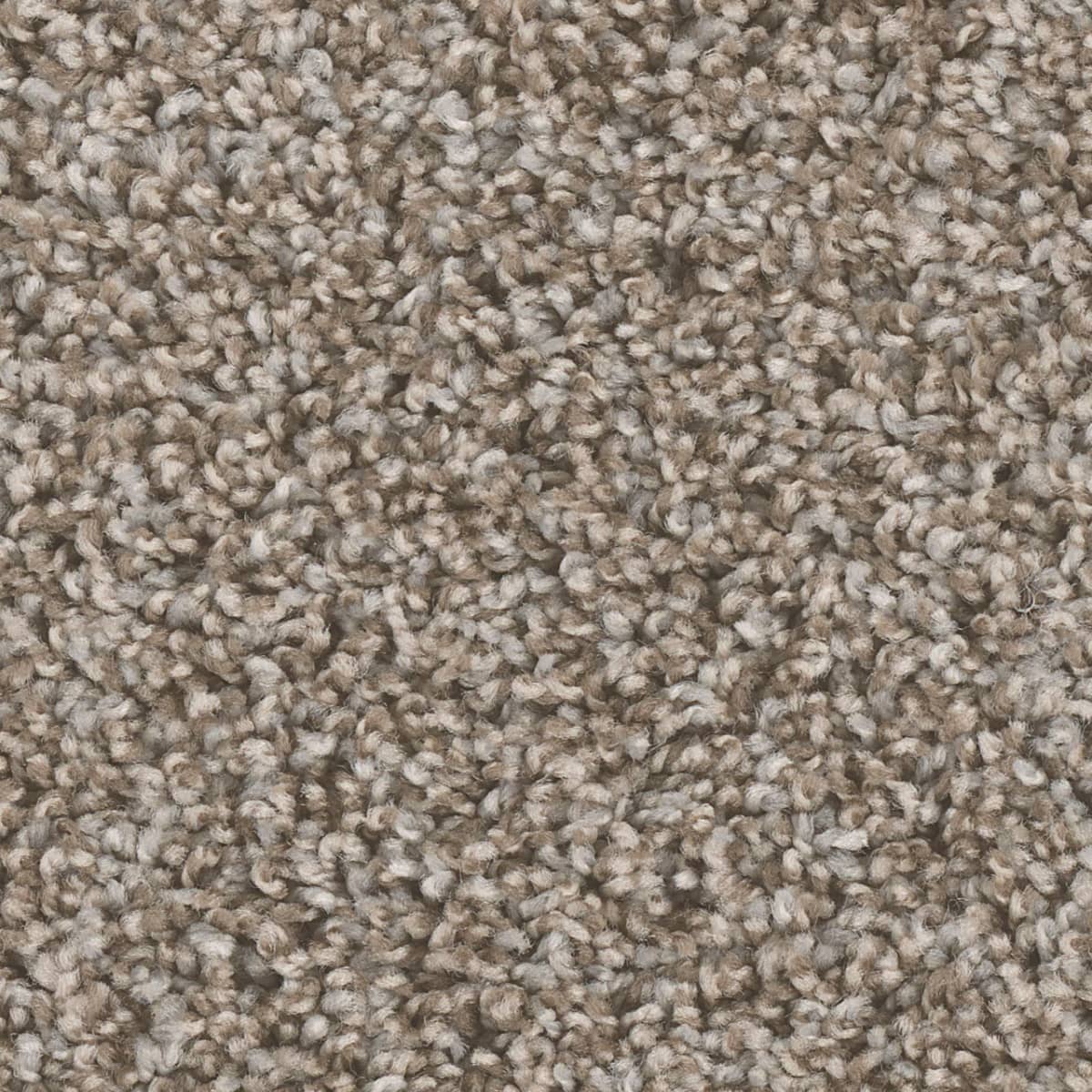 DreamWeaver West Brow — Granite carpet swatch