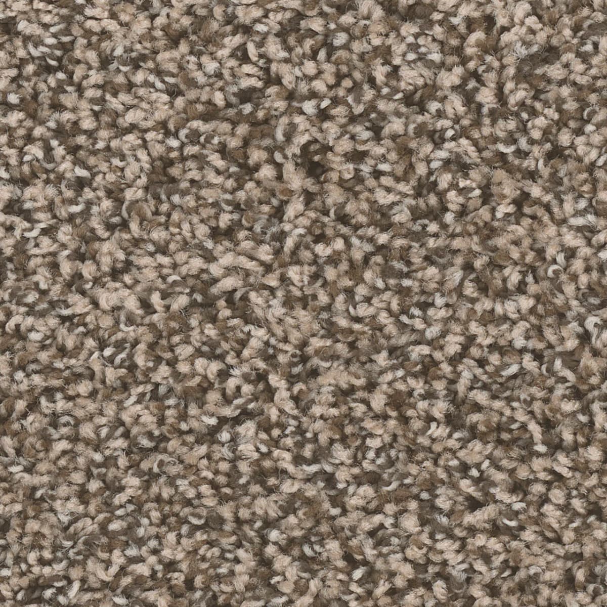 DreamWeaver West Brow — Bedrock carpet swatch
