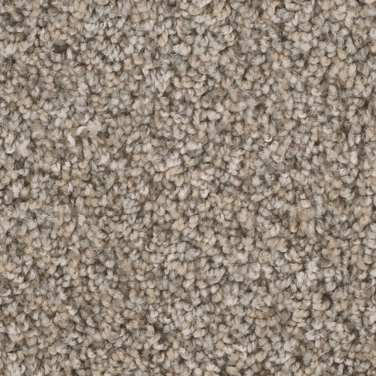 DreamWeaver West Brow — Canyon Bluff carpet swatch