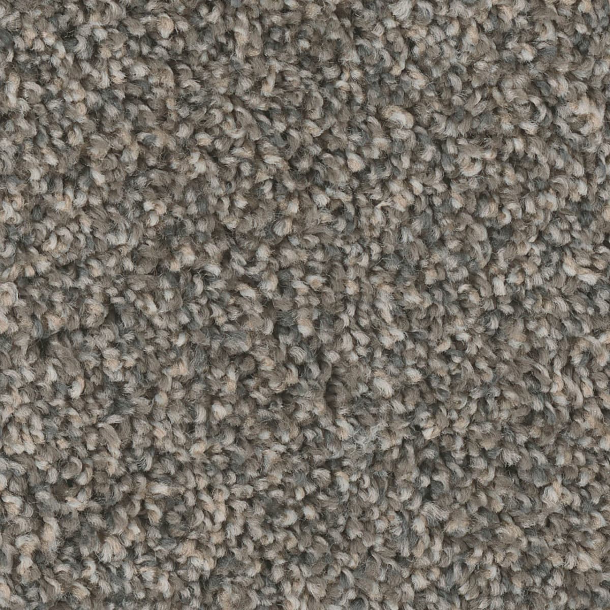DreamWeaver West Brow — Iron Sands carpet swatch