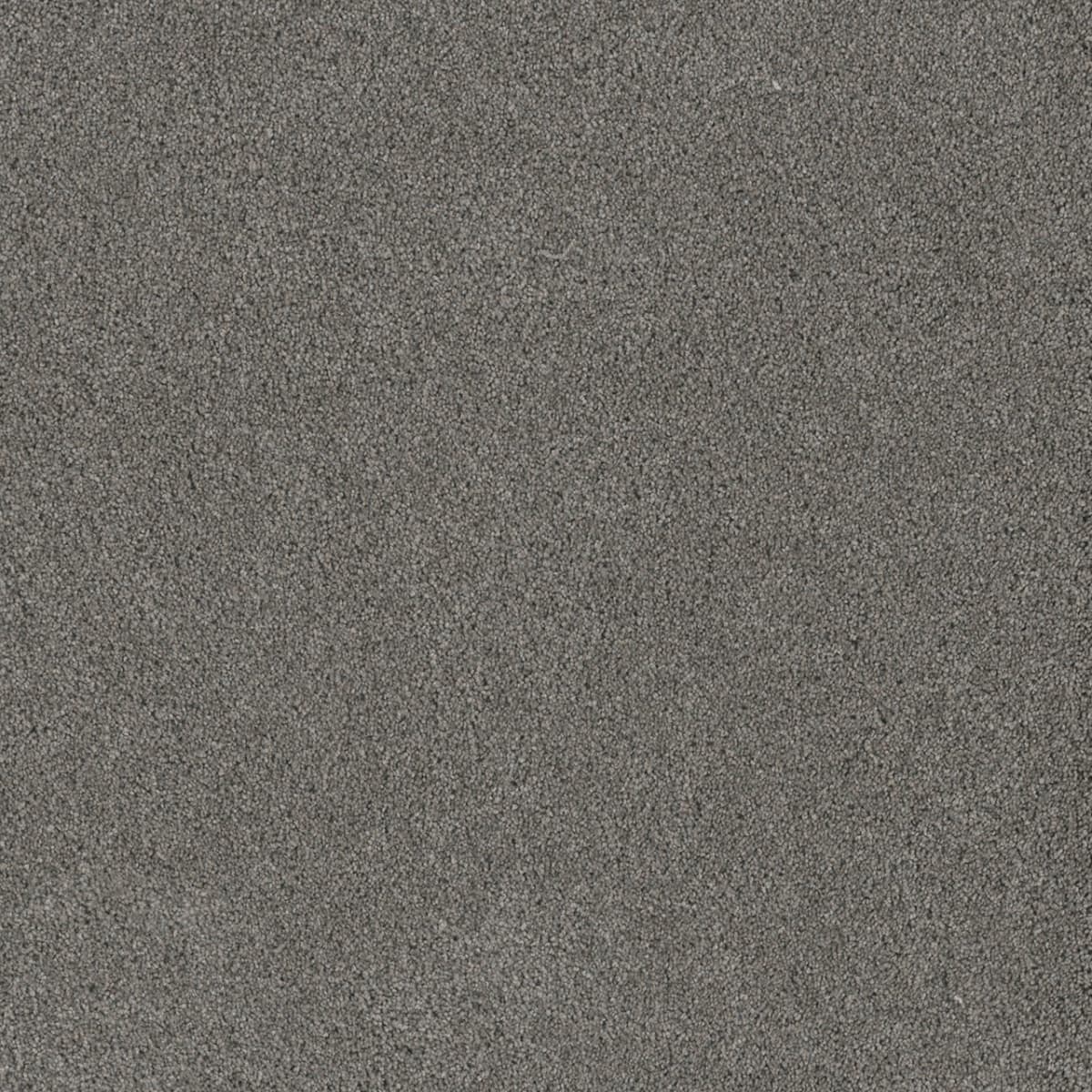 DreamWeaver Stunning — Orion carpet swatch