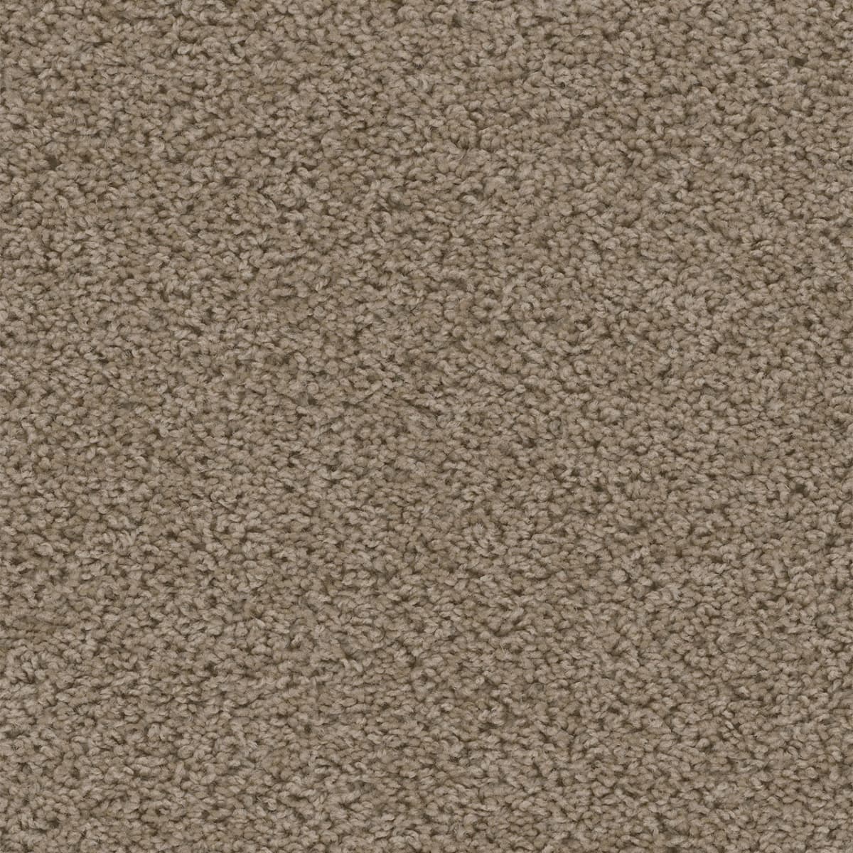 DreamWeaver Sweepstakes — Doeskin carpet swatch