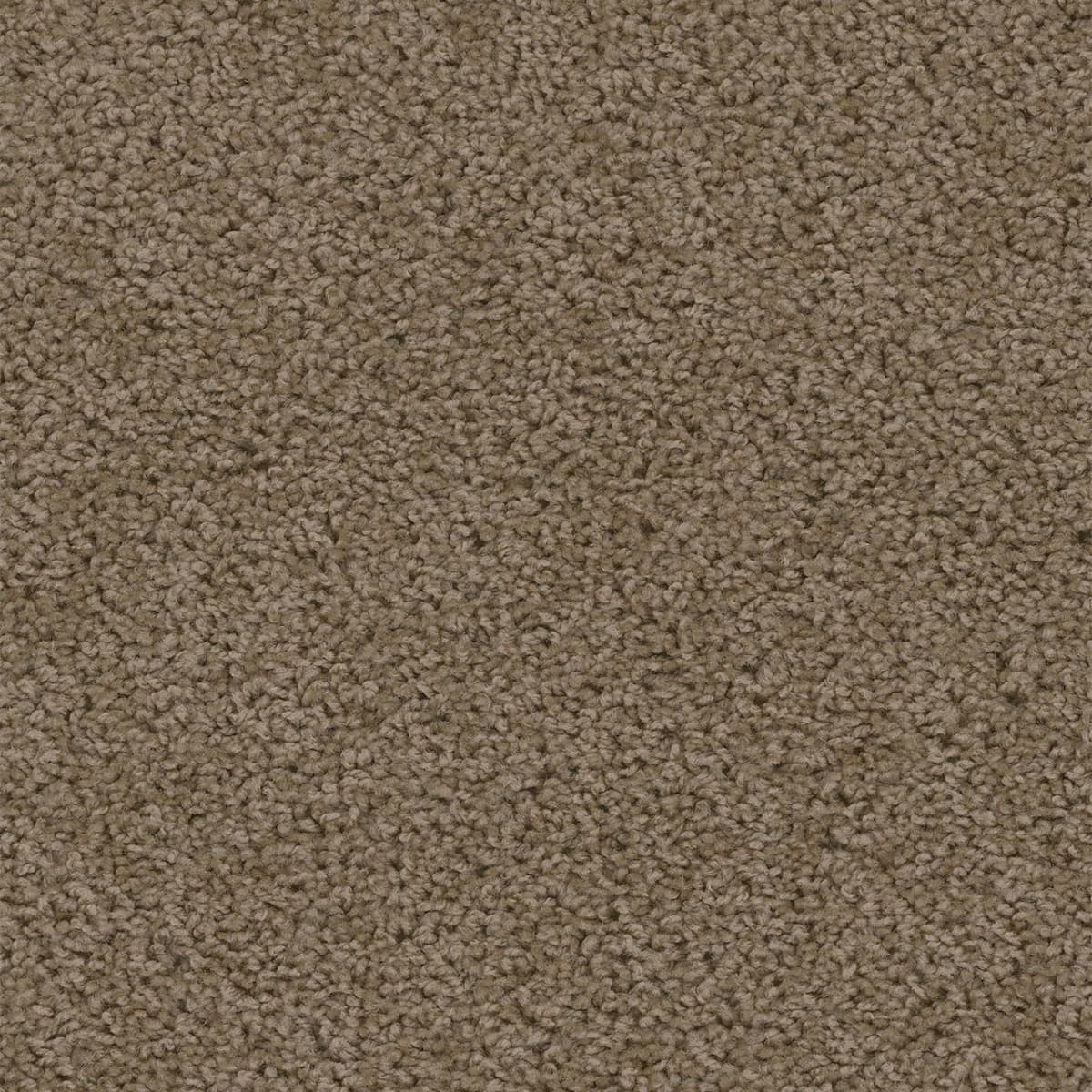 DreamWeaver Sweepstakes — Taupe carpet swatch