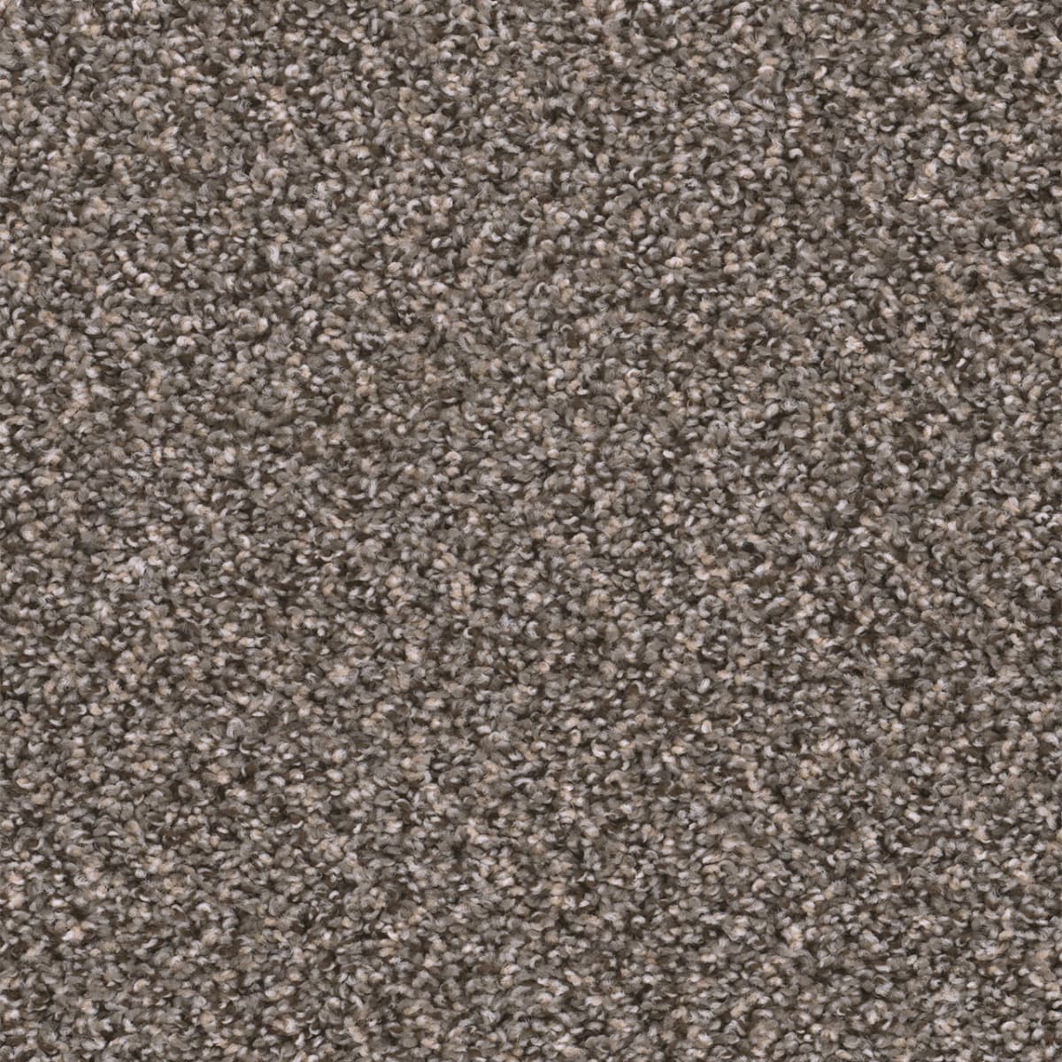 DreamWeaver Sweepstakes — Ironside carpet swatch