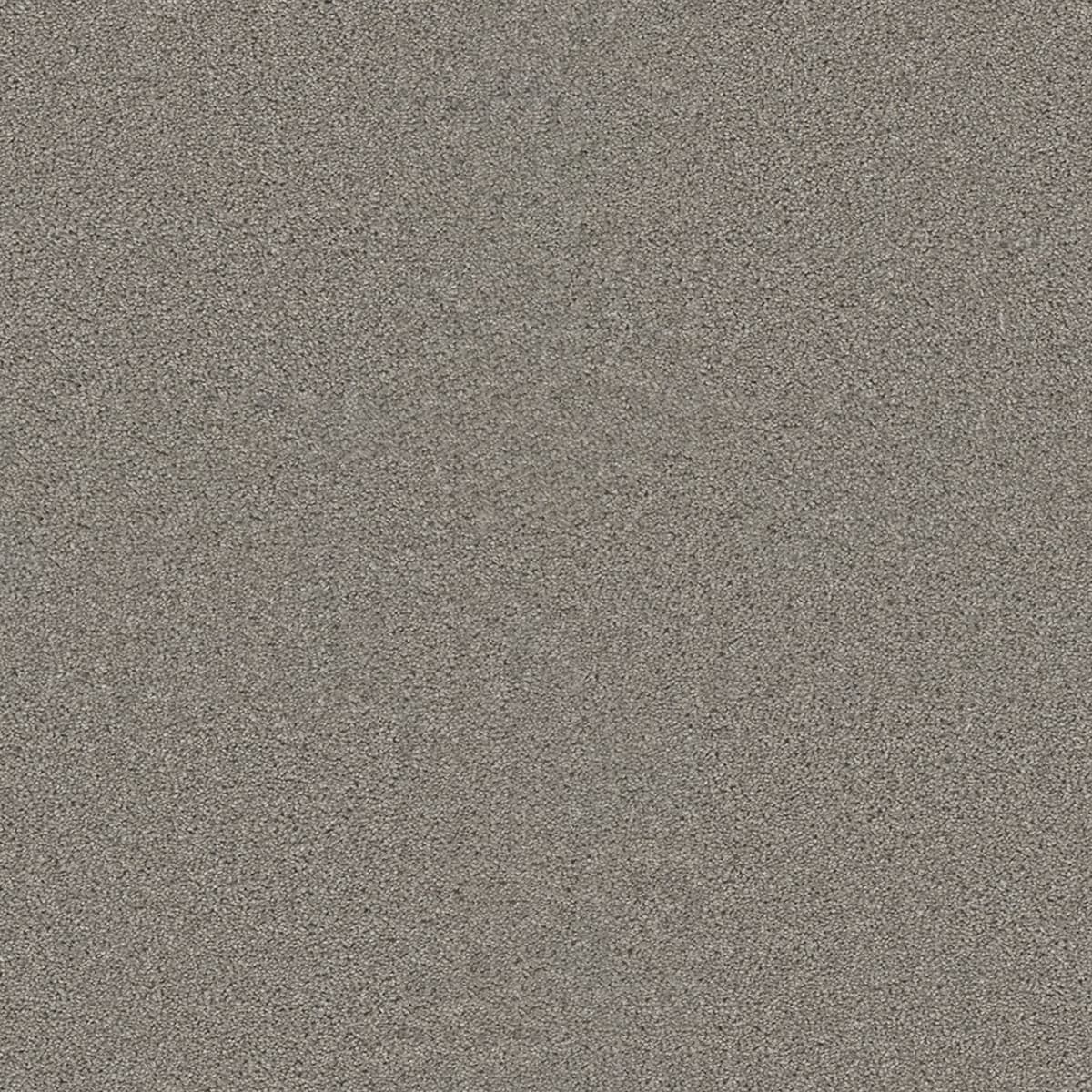 DreamWeaver Sweepstakes — Dove carpet swatch