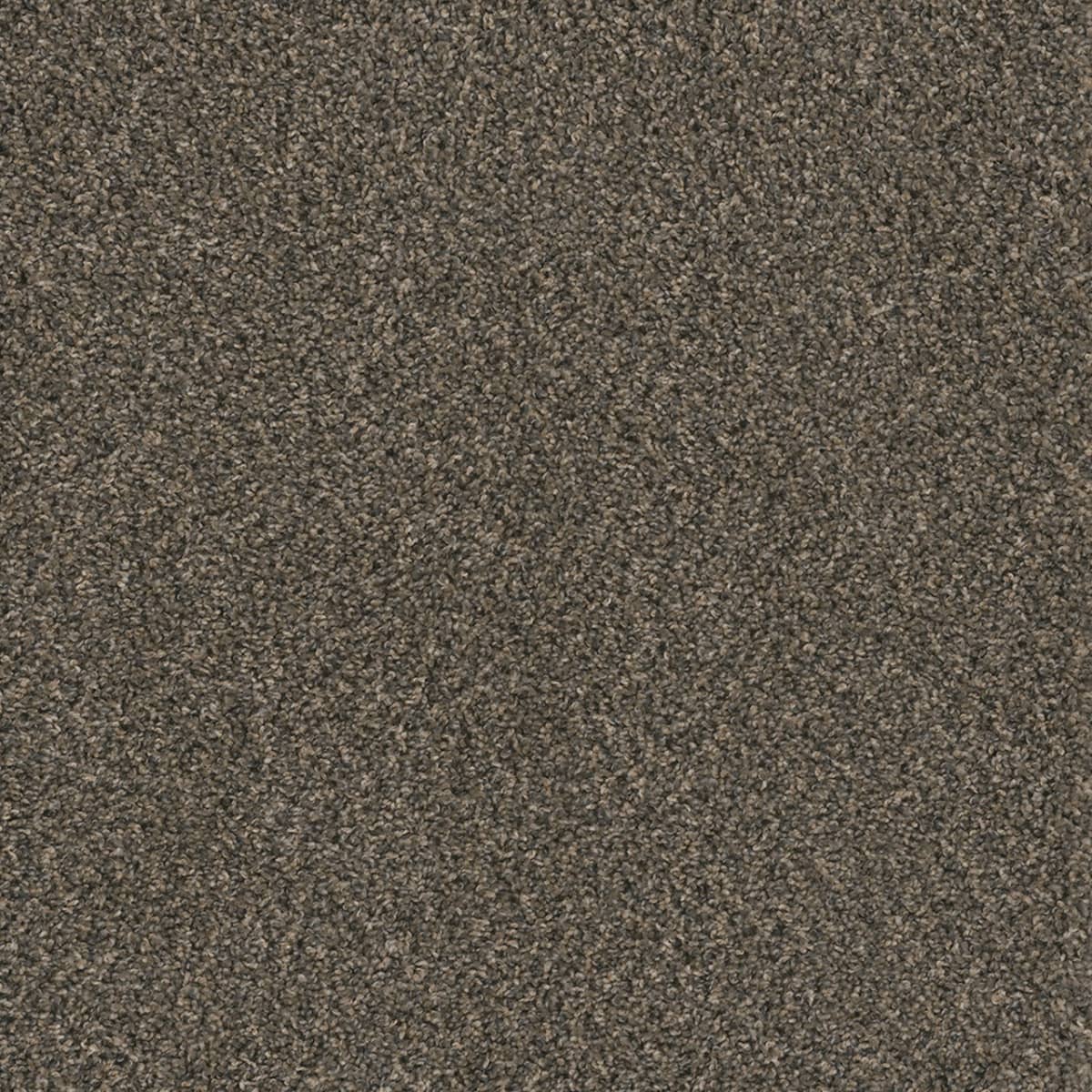 DreamWeaver Sweepstakes — Belle Grove carpet swatch