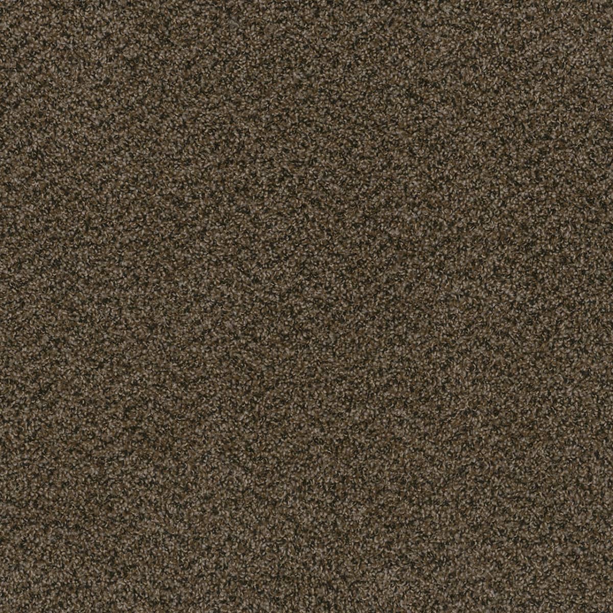 DreamWeaver Sweepstakes — Rustic Charm carpet swatch