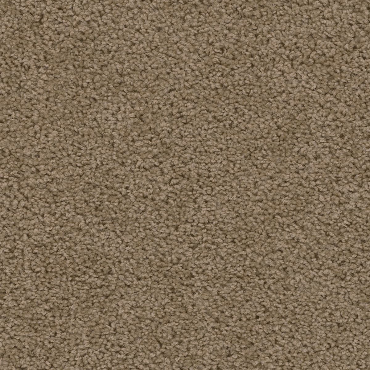 DreamWeaver Sweepstakes — Honey Beige carpet swatch
