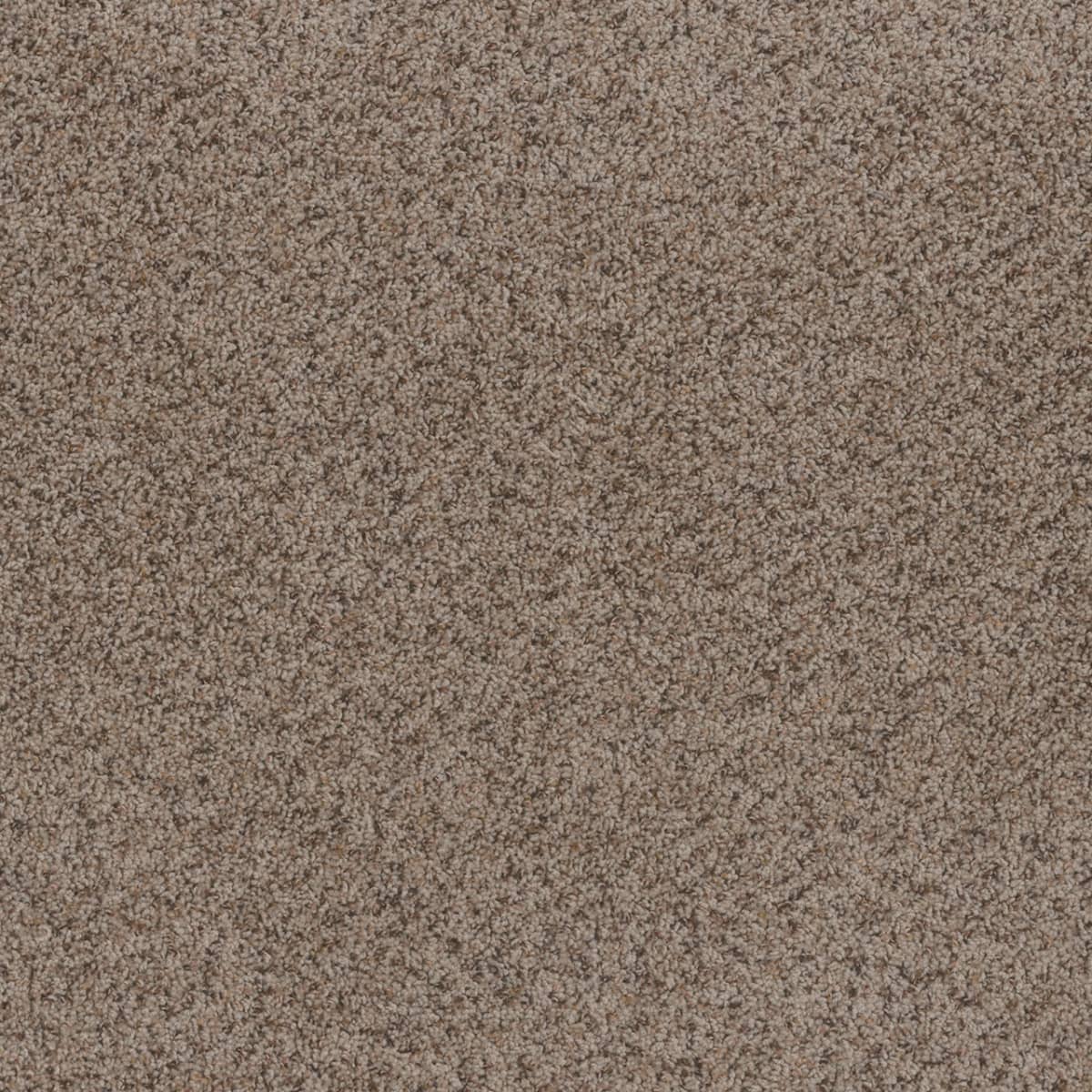 DreamWeaver Toast Of The Town — Oyster Bay carpet swatch