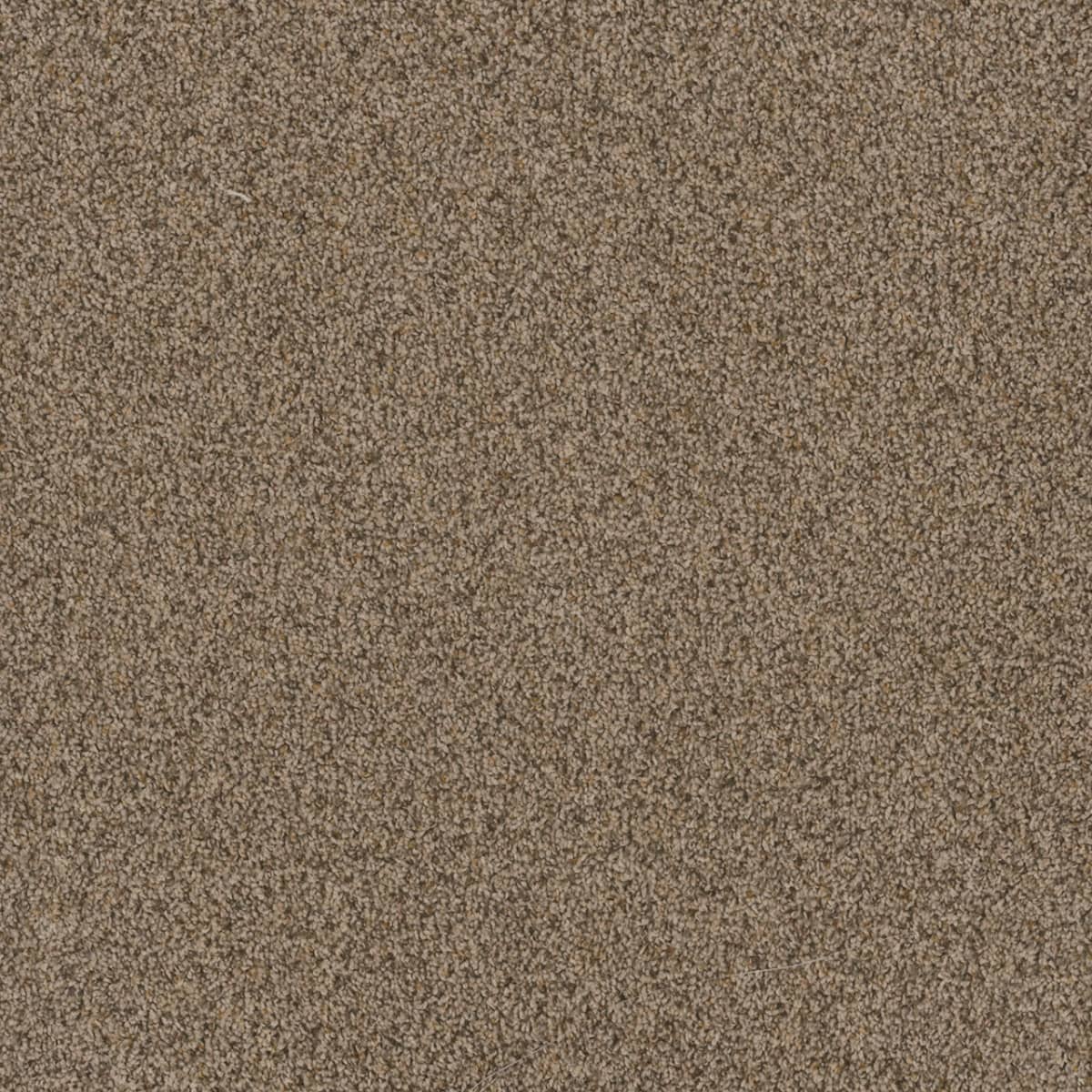 DreamWeaver Toast Of The Town — Oakfield carpet swatch