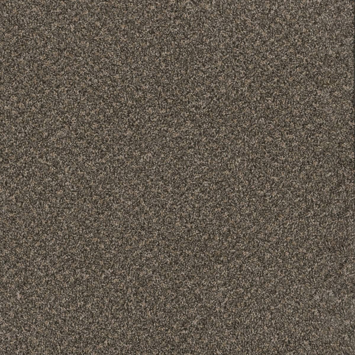 DreamWeaver Toast Of The Town — Wrought Iron carpet swatch