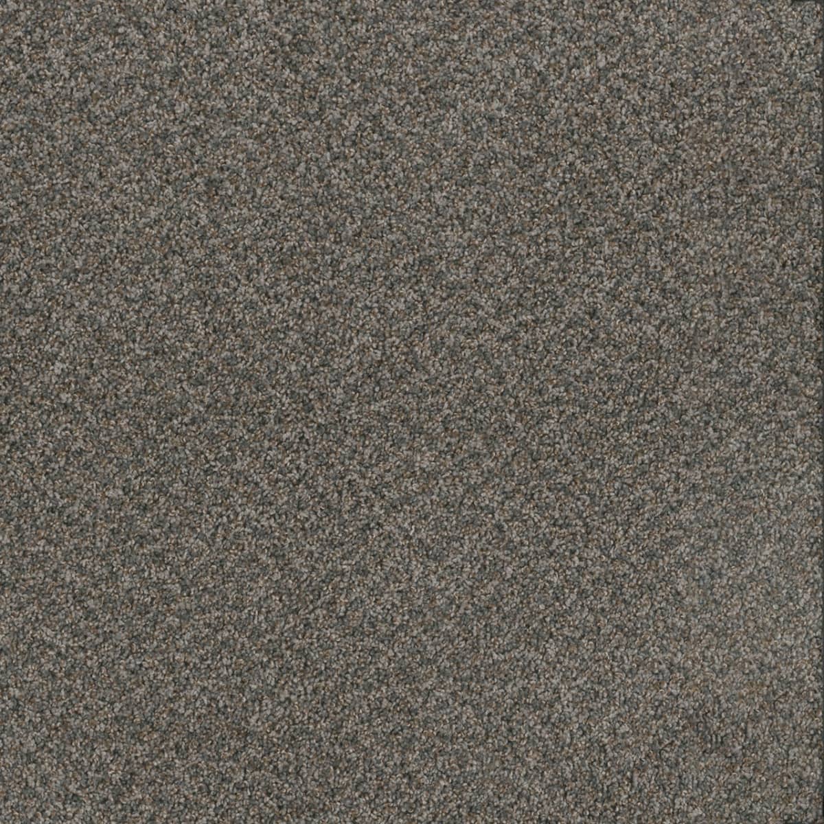 DreamWeaver Toast Of The Town — Flagstone carpet swatch