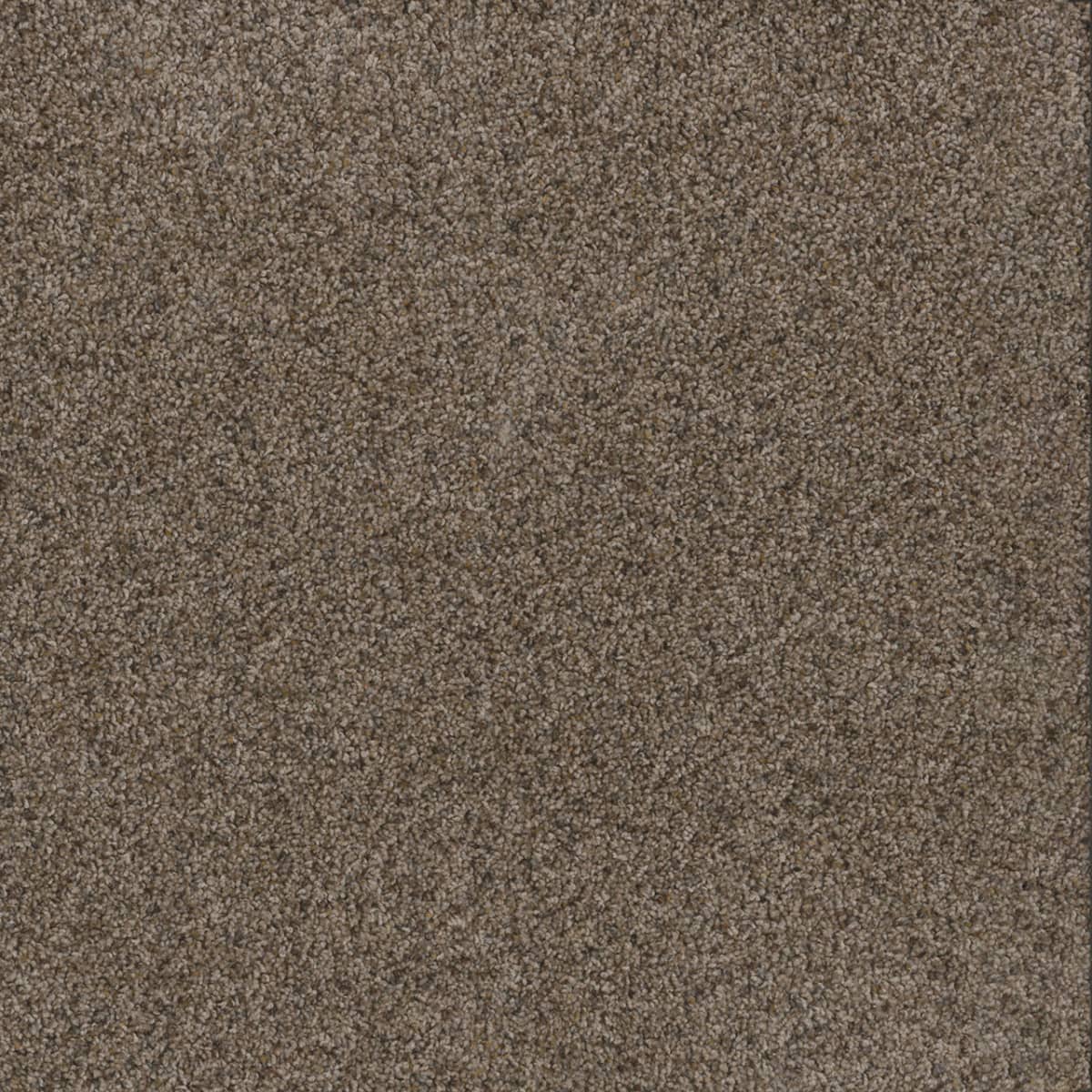 DreamWeaver Toast Of The Town — Tanzanite carpet swatch