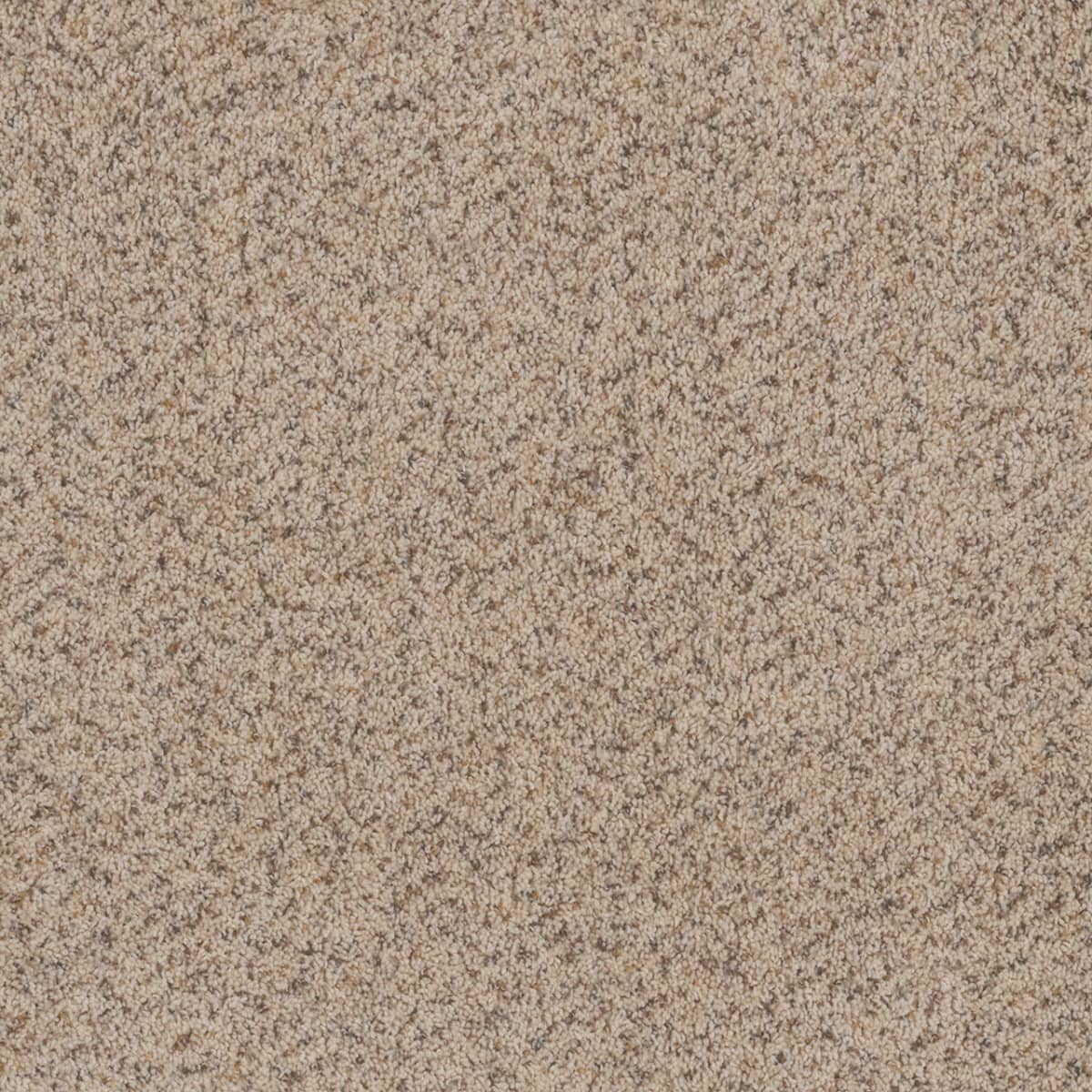 DreamWeaver Toast Of The Town — Winter Blanket carpet swatch