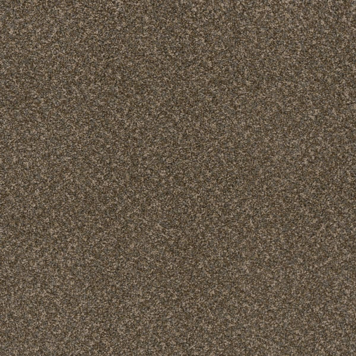 DreamWeaver Toast Of The Town — Urbane carpet swatch