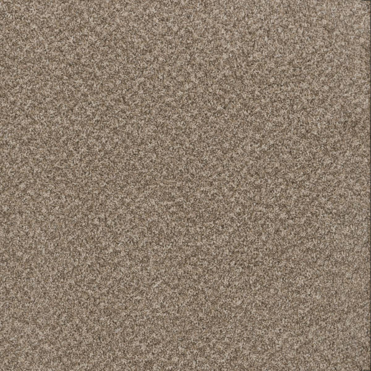DreamWeaver Toast Of The Town — Natural Cotton carpet swatch