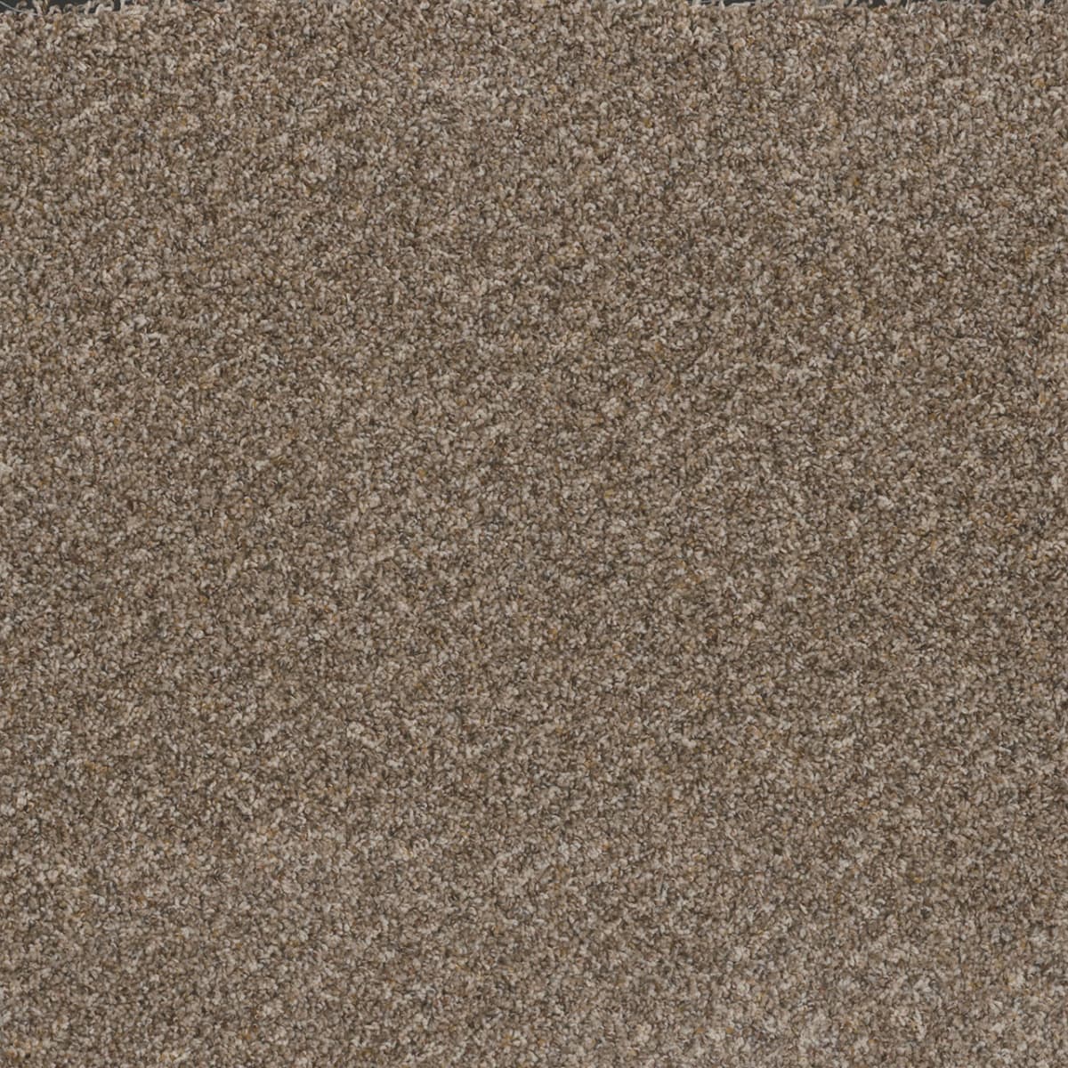DreamWeaver Toast Of The Town — Marble Heights carpet swatch