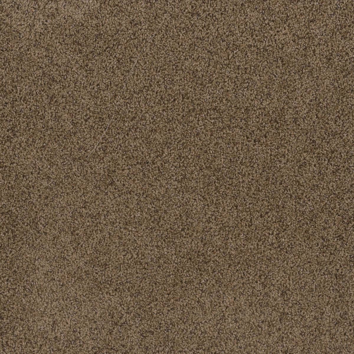 DreamWeaver Toast Of The Town — Sandalwood carpet swatch