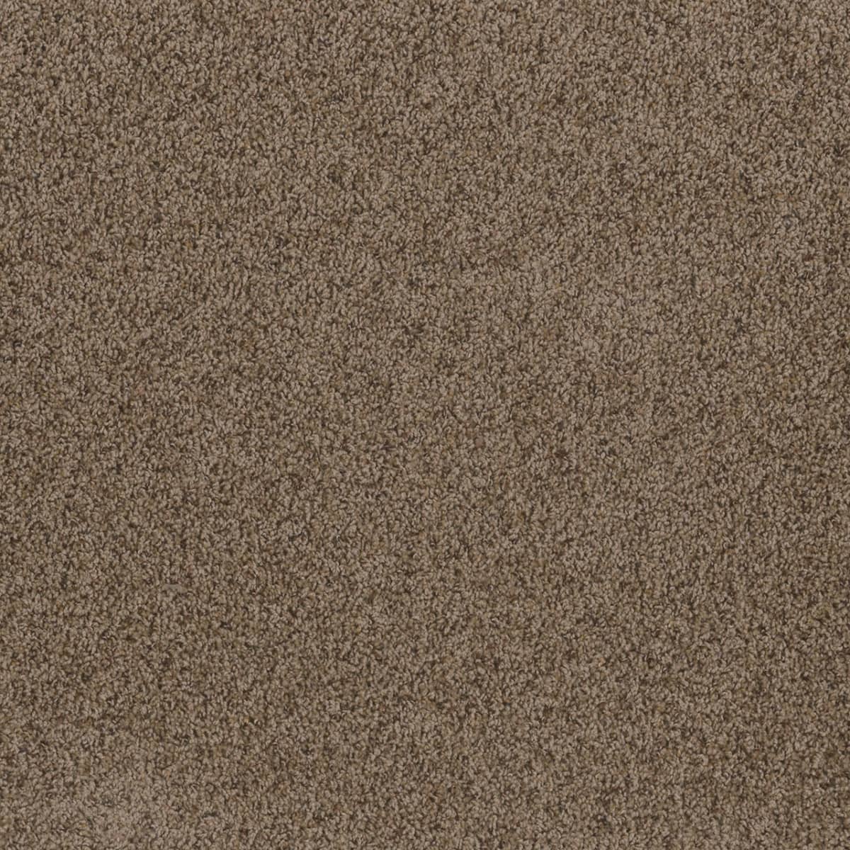 DreamWeaver Toast Of The Town — Vallum carpet swatch