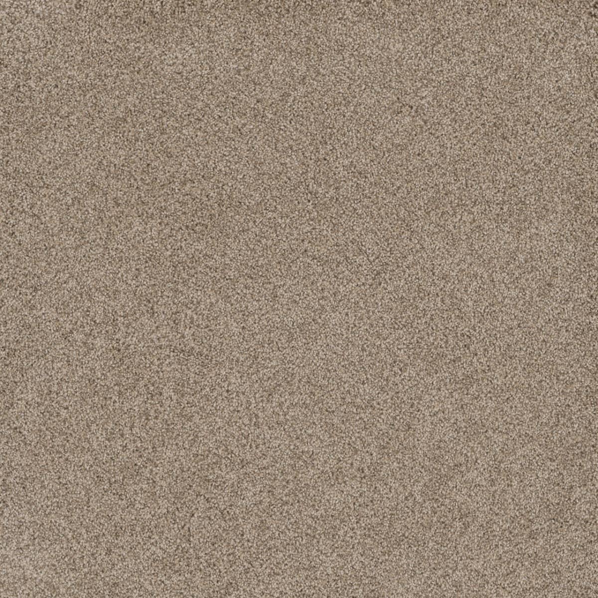 DreamWeaver Stunning — Oxford carpet swatch