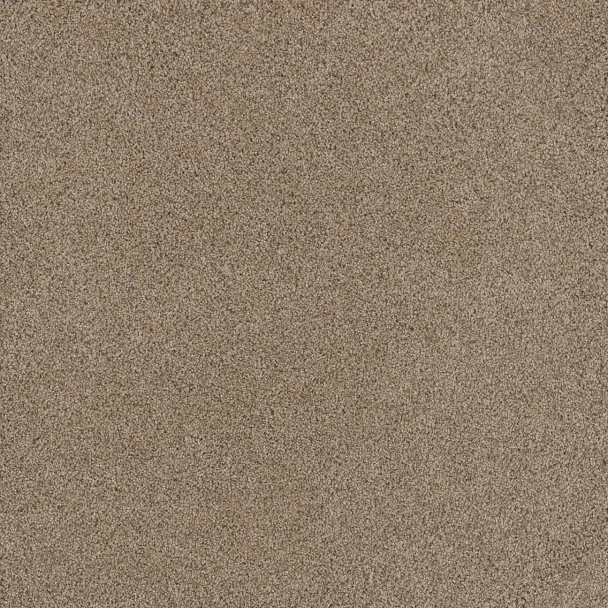 DreamWeaver Stunning — Ginger carpet swatch