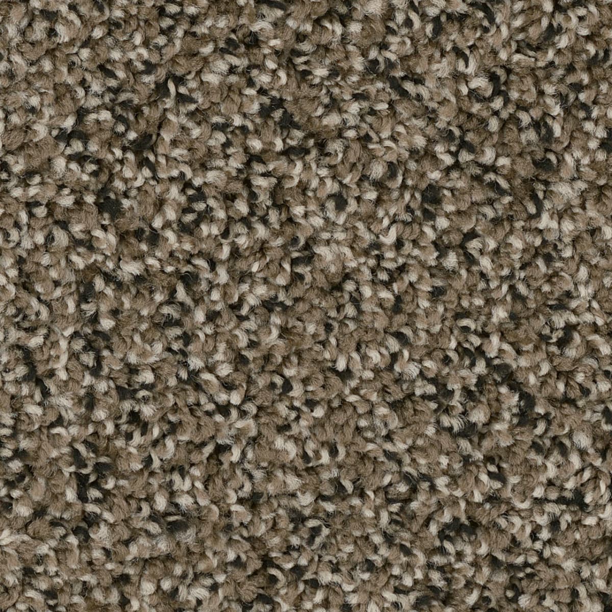 DreamWeaver West Brow — Magnetite carpet swatch
