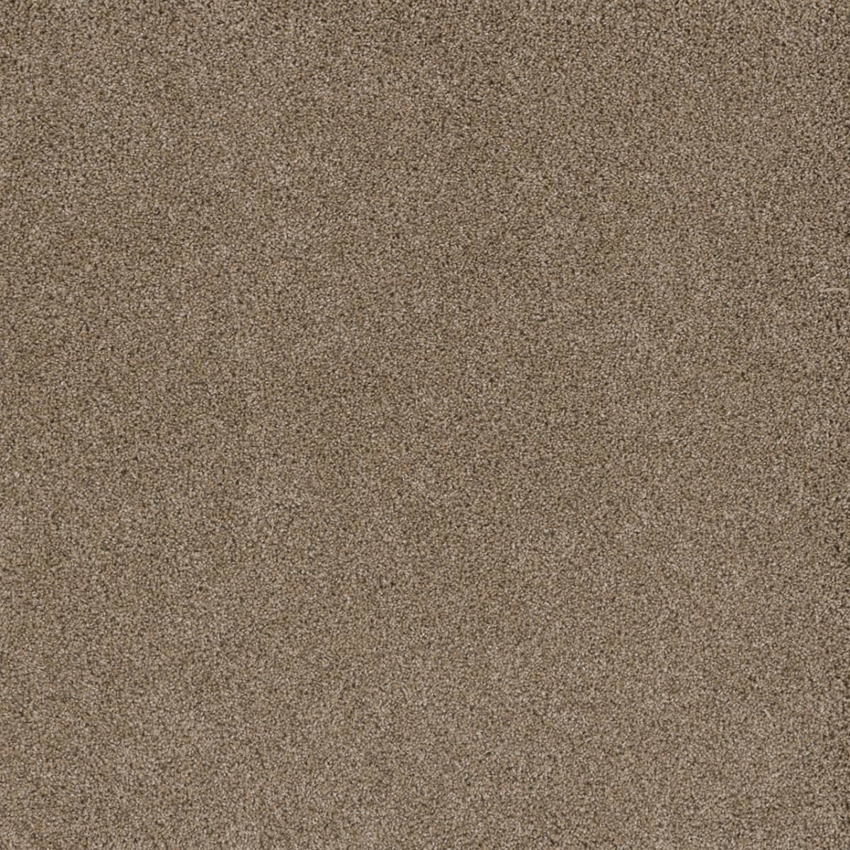 DreamWeaver Stunning — Straw carpet swatch