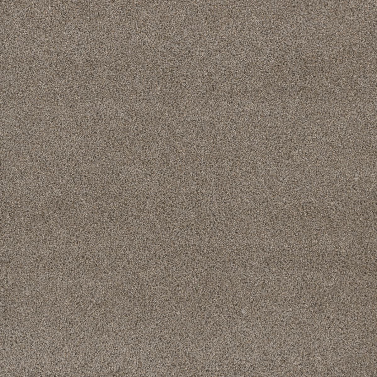 DreamWeaver Stunning — Ash carpet swatch