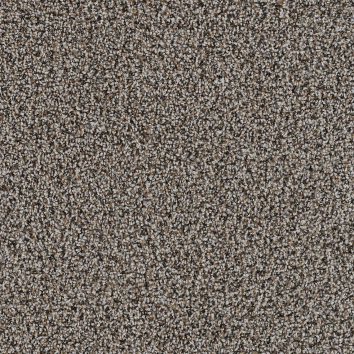 DreamWeaver Sweepstakes — Gingerbread carpet swatch