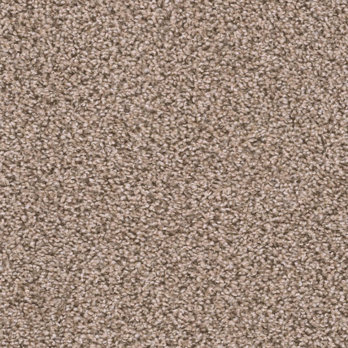 DreamWeaver Sweepstakes — Claystone carpet swatch